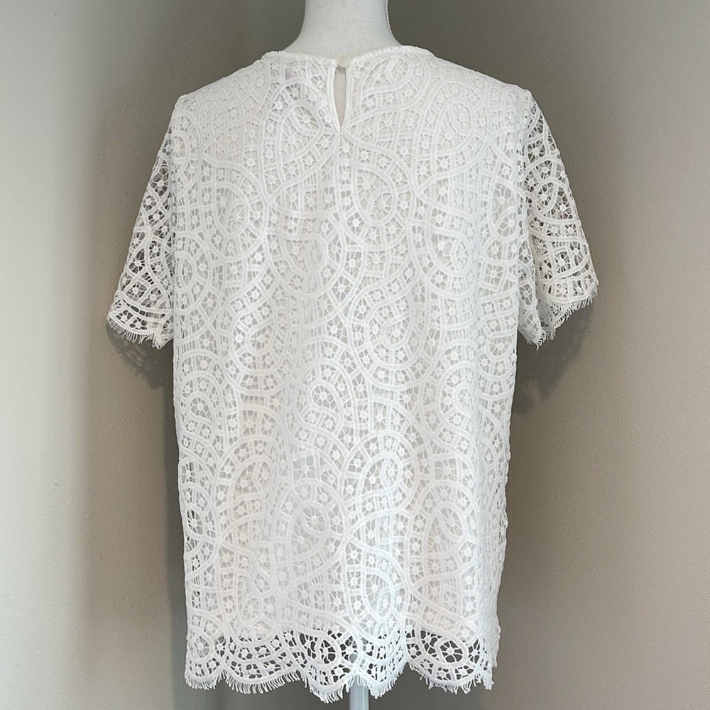 Philosophy | Lined Crew Neck Lace Short Sleeve Top | White | XL - Picture 5 of 7